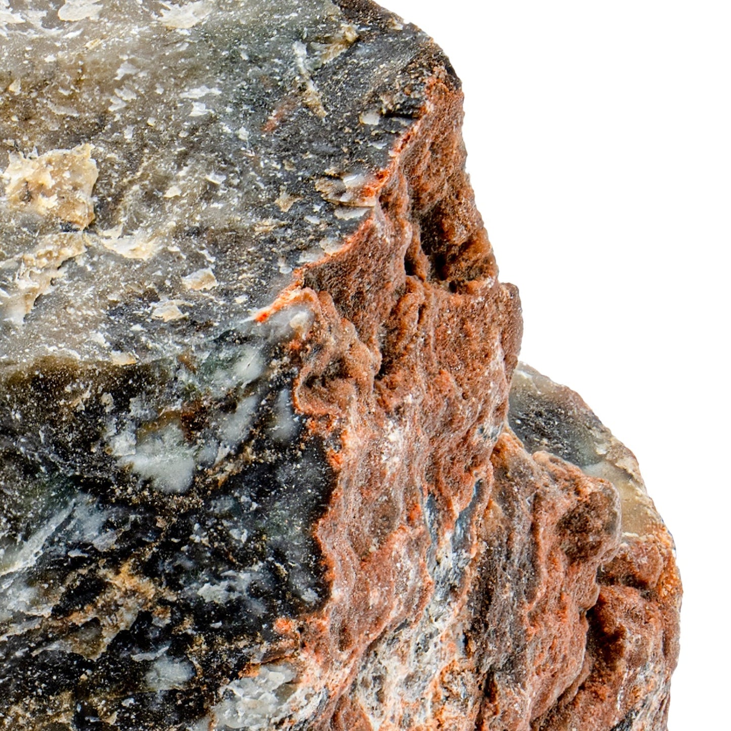 Dinosaur Dung Coprolite Fragment - Authentic Morrison Formation Fossil Specimen - Large