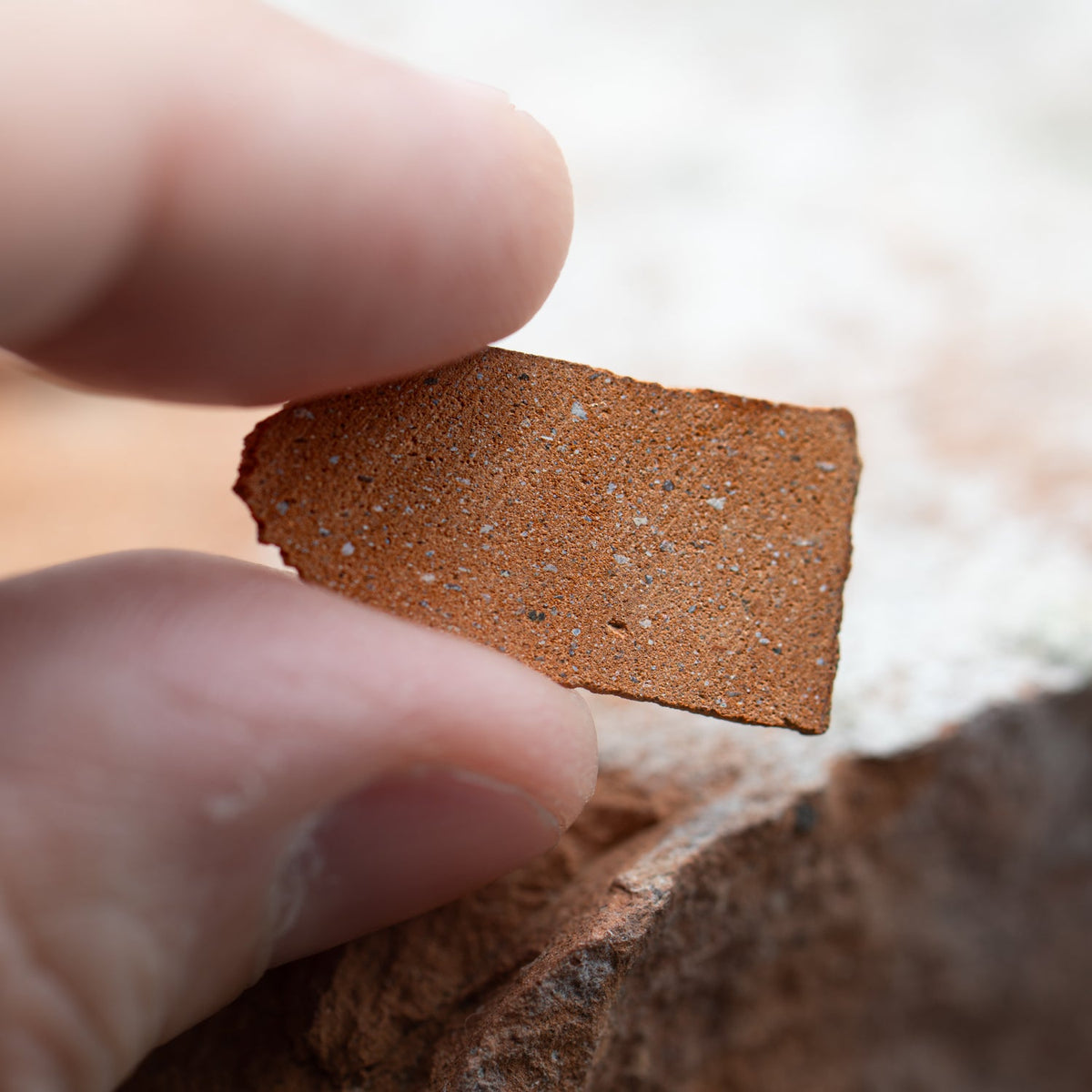 Dracula Castle Brick Actual Sample Specimen
