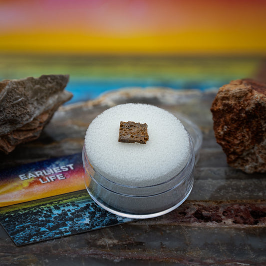 North Pole Dome Stromatolite - Earliest Life on Earth - Authentic 3.48-Billion-Year Specimen