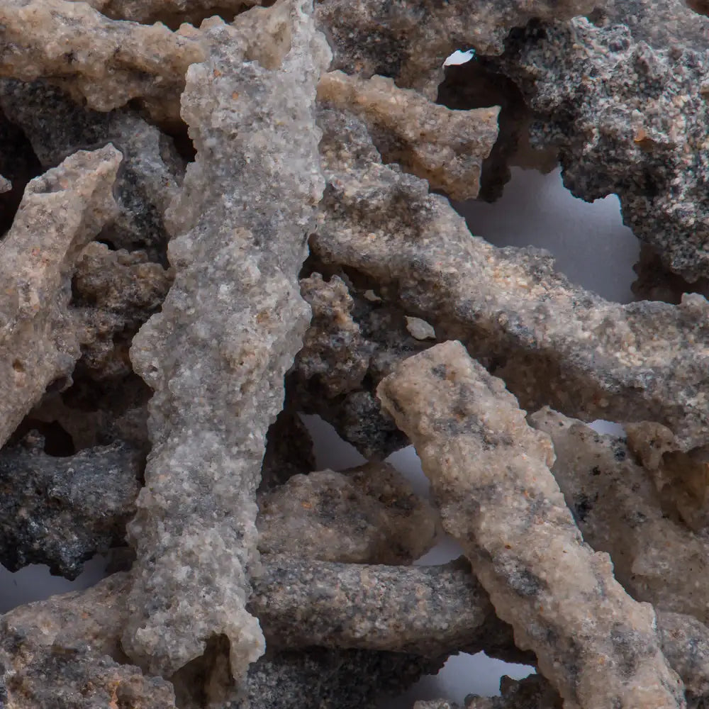 Petrified Lightning - Saharan Fulgurite Riker Box Specimen