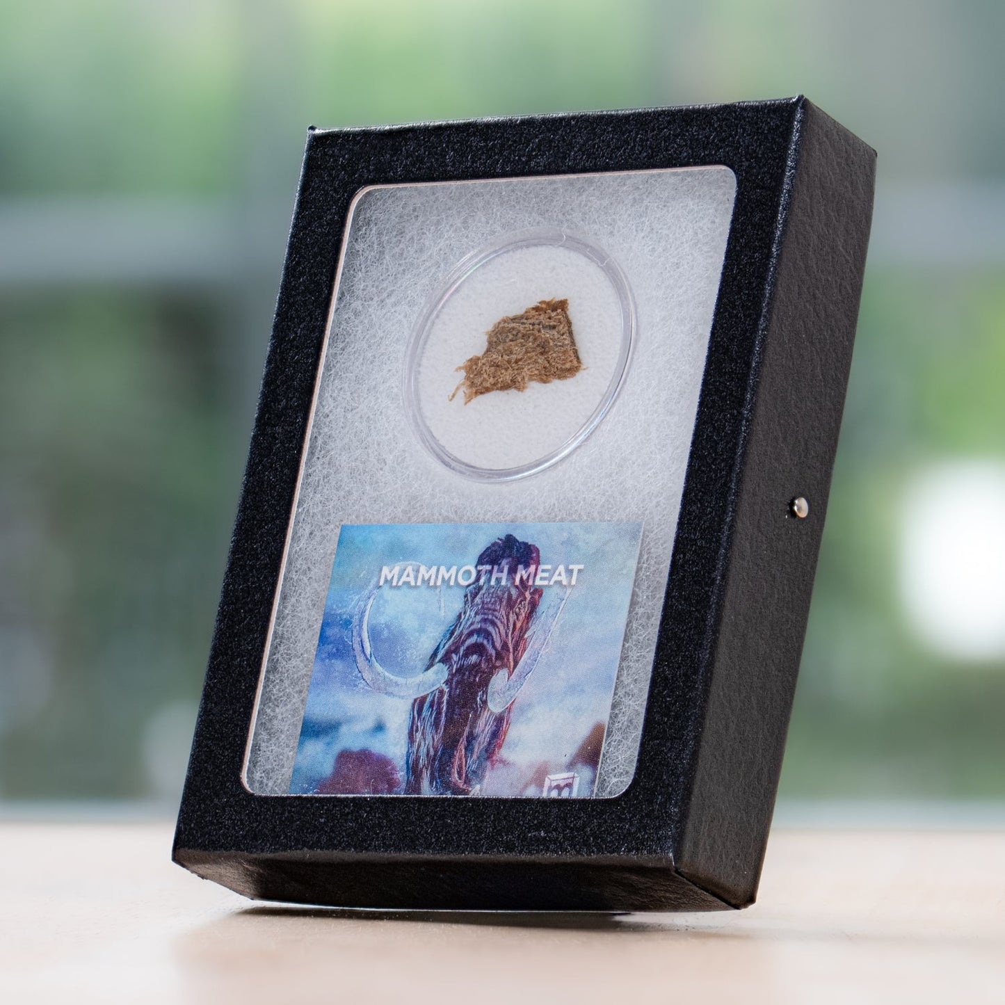 Mammoth Meat Authentic Artifact in Riker Case