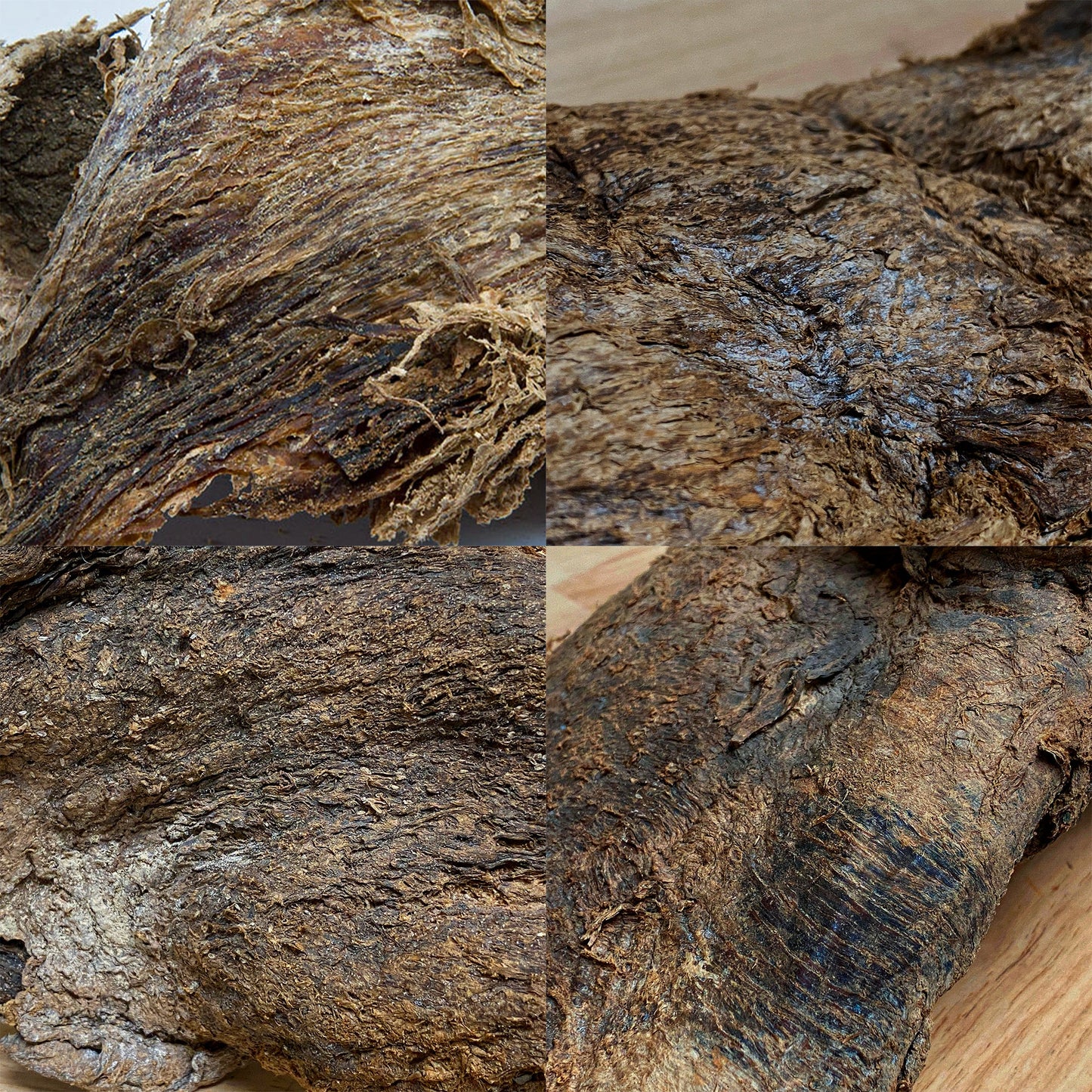Mammoth Meat Authentic Artifact in Riker Case