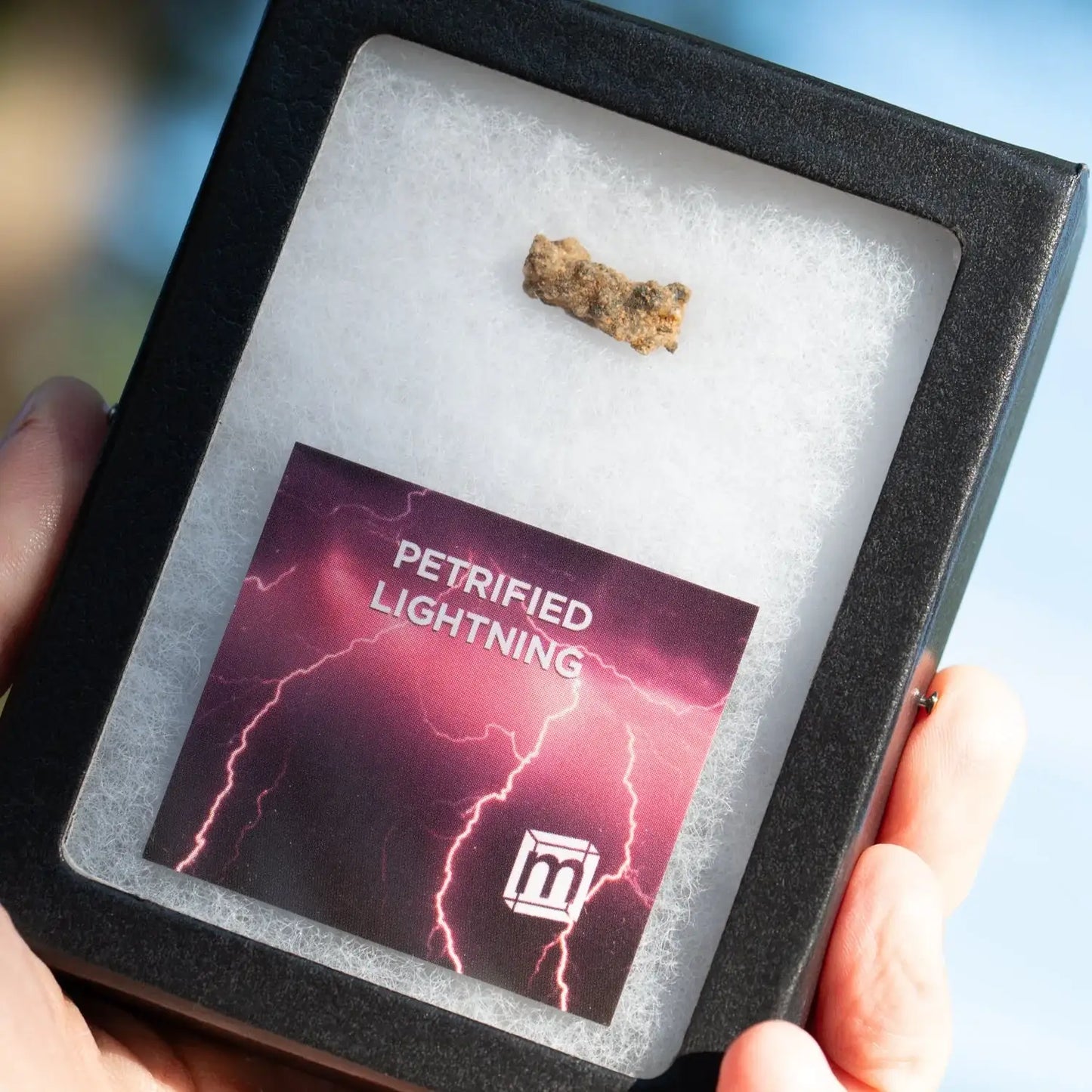 Petrified Lightning - Saharan Fulgurite Riker Box Specimen