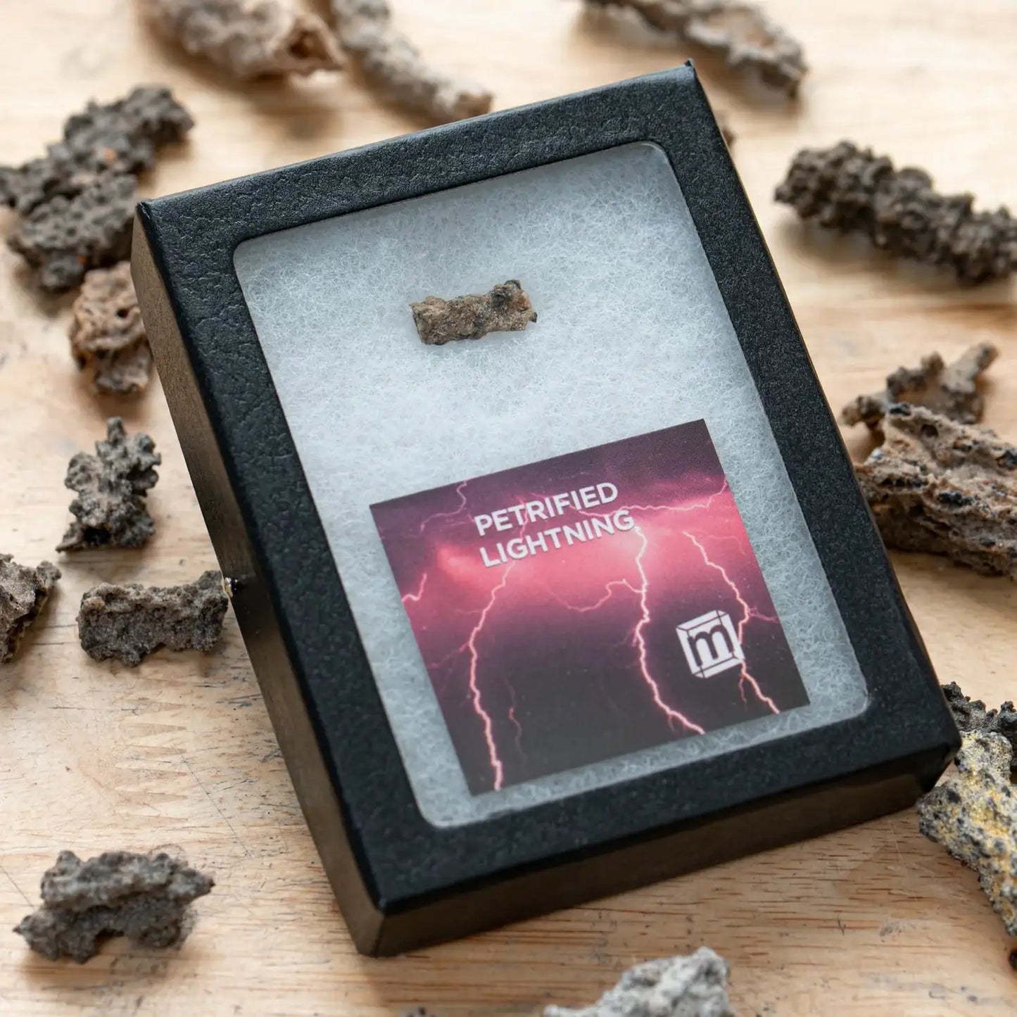 Petrified Lightning - Saharan Fulgurite Riker Box Specimen