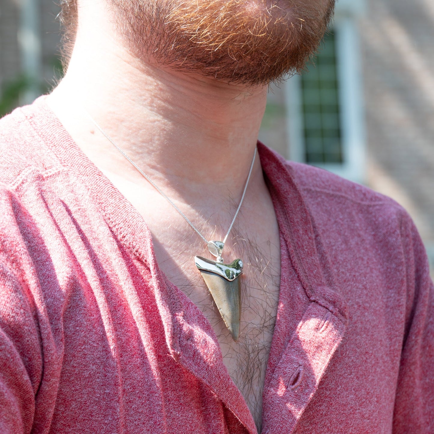 Fossil Shark Tooth Pendant