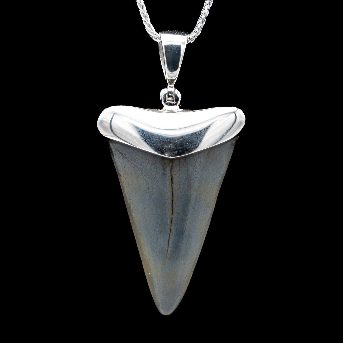Fossil Shark Tooth Pendant