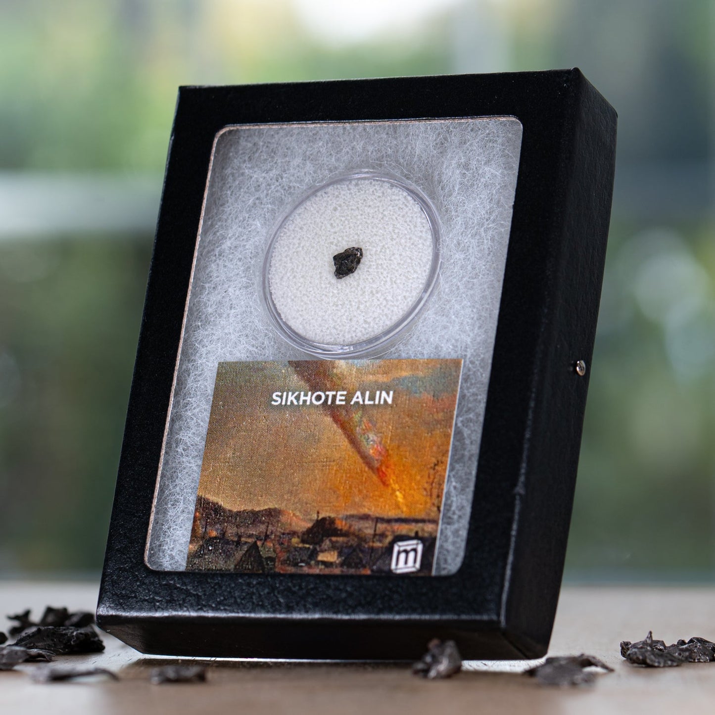 Sikhote Alin Meteorite