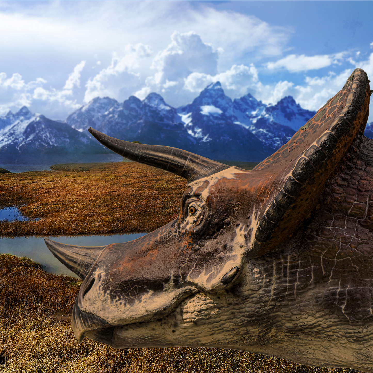 Triceratops Bone - Authentic Hell Creek Fossil Specimen