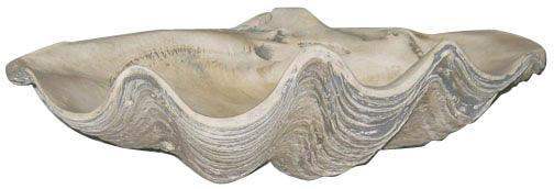 Life Like Shell Cast Clam Shell Garden Art Statue Lifelike Cement 22.5W