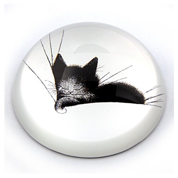 Kitty Sleeping in a Comfy Pillow Glass Dome Paperweight by Dubout 3W