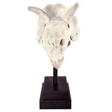 Triceratops Dinosaur Skull on Mount Display Sculpture 23.5H