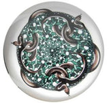 Snakes 1969 Tessellation Glass Dome Paperweight by M.C. Escher 3W