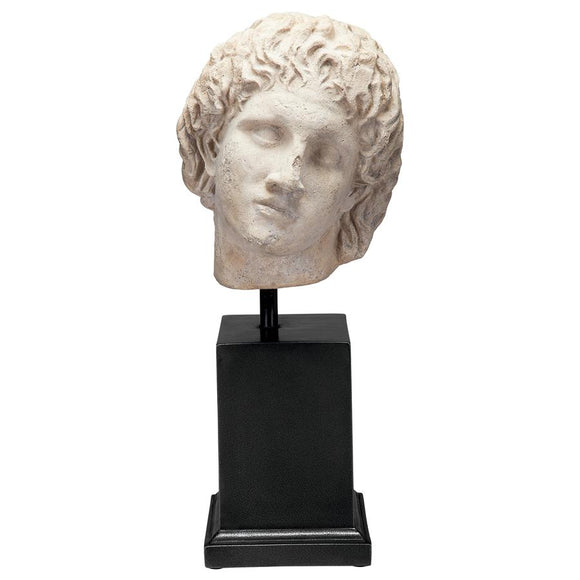 Alexander the Great Portrait Sculpture Bust on Museum Mount 24H