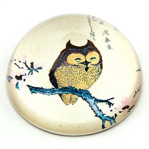 Owl on Magnolia Branch Japanese Woodblock Glass Dome Paperweight 3W