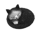 Cat Kitty Taking Nap Siesta Miniature Figurine by Dubout 1H