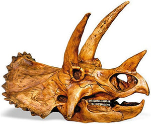 Museumize:Triceratops Dinosaur Prehistoric Skull Replica 17L