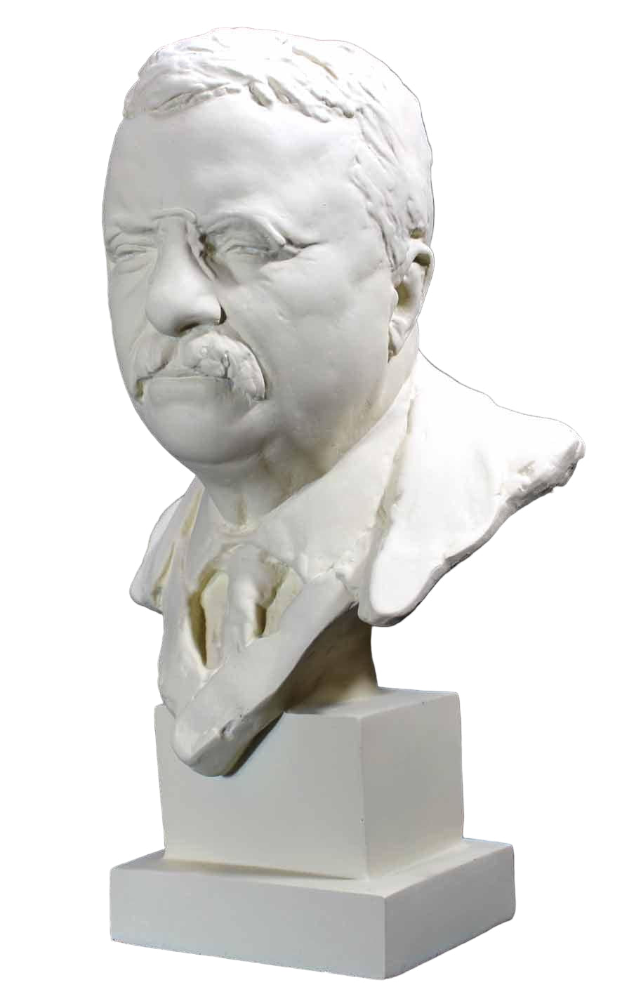 Theodore Roosevelt American President Bust, Assorted Sizes - Museumize.com