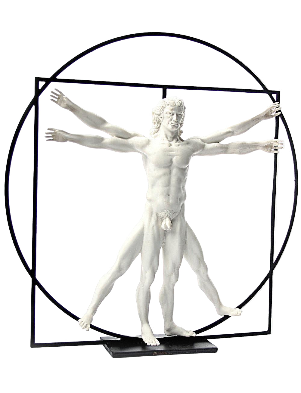 Vitruvian Universal Man Image of Perfection Statue by DaVinci White 8.